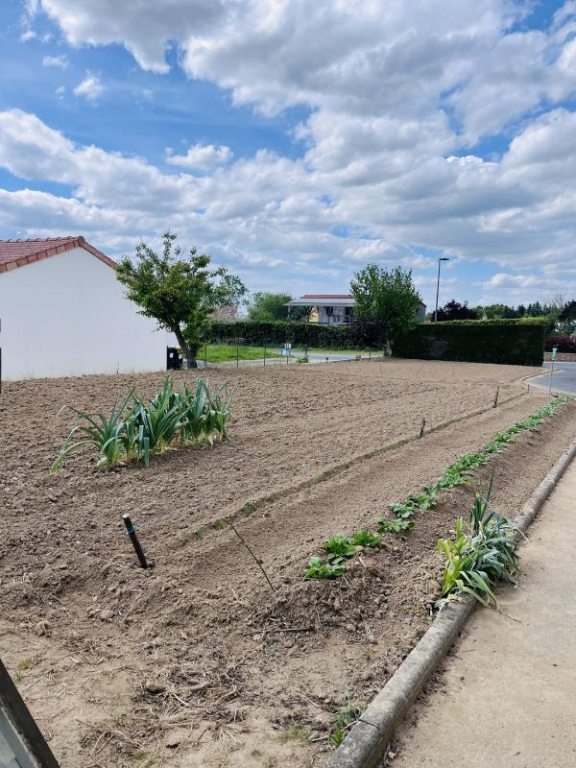 Vente Terrain constructible Champtoceaux