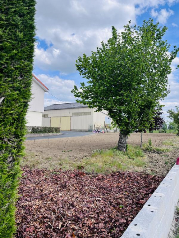 Vente Terrain constructible Champtoceaux